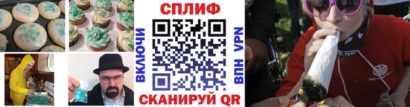 где найти   Питкяранта  Cannafood конопля 