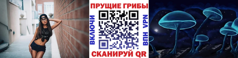 Псилоцибиновые грибы Magic Shrooms  это Telegram  Питкяранта 